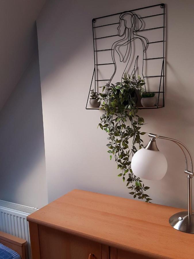 Apartament Gdansk'A Appartement Nowy Dwór Gdański Buitenkant foto
